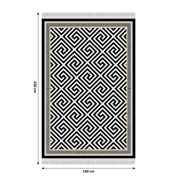 Covor, model negru-alb, 160x230, MOTIVE