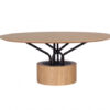 Mese lemn structura metalica WOOD-OO 001